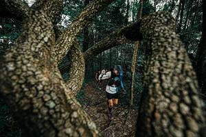 BIB: 
                            <button type="button" onclick="openModal(25392960)" class="btn btn-primary btn-sm float-right btn-popup" data-toggle="modal" data-target=".modal-high-quality">
                        <i class="fas fa-shopping-cart"></i> Add to Cart
                    </button>
                                            <button type="button" onclick="isThisMe(25392960, true)" class="btn btn-success btn-sm float-right btn-popup btn-isme hidden" data-toggle="tooltip" data-placement="bottom" title="นี่คือรูปของคุณใช่ไหม คลิกที่นี่เพื่อเอาเข้าอัลบั้ม">
                        <i class="fas fa-plus"></i> Add to album
                    </button>
                    <button type="button" onclick="isThisMe(25392960, false)" class="btn btn-warning btn-sm float-right btn-popup btn-isnotme hidden">
                        <i class="fas fa-ban"></i> Remove from album
                    </button>